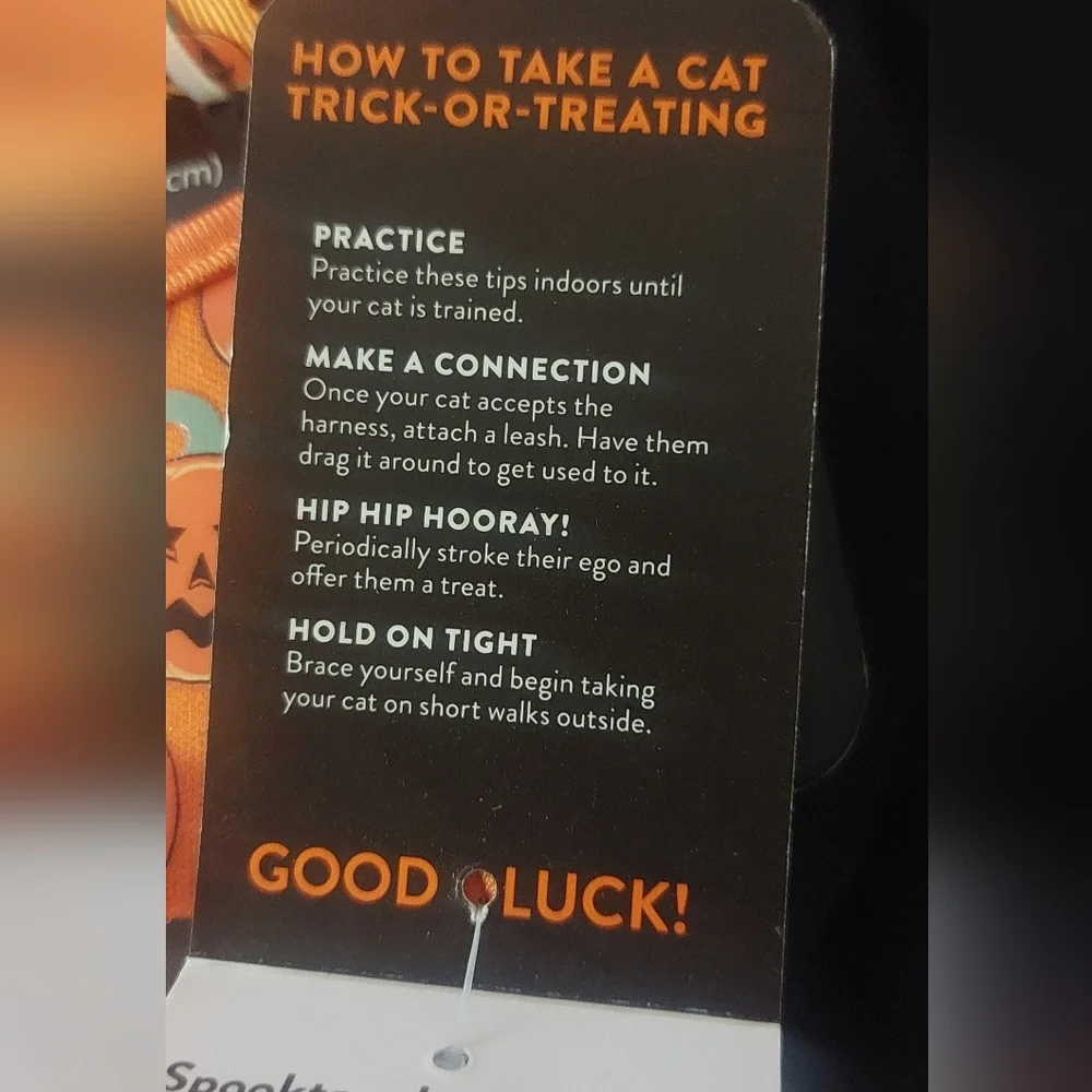 Cat Costume